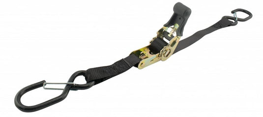Erickson 1